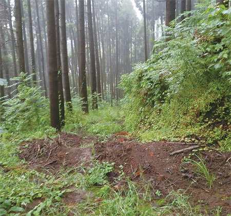 熊本県内には、昨年の地震の影響で土砂崩れの危険性のある場所が多い