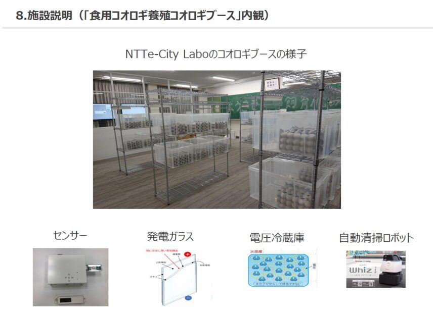 NTTe-City Labo内の食用コオロギ養殖ブース施設