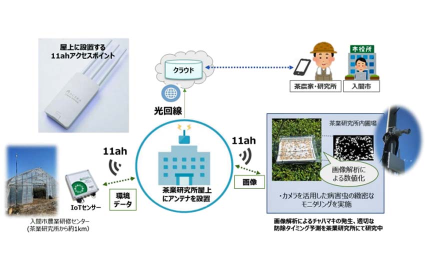 NTT東日本、11ah・IoTセンサーを活用した茶葉栽培の農業DXの実証実験を開始