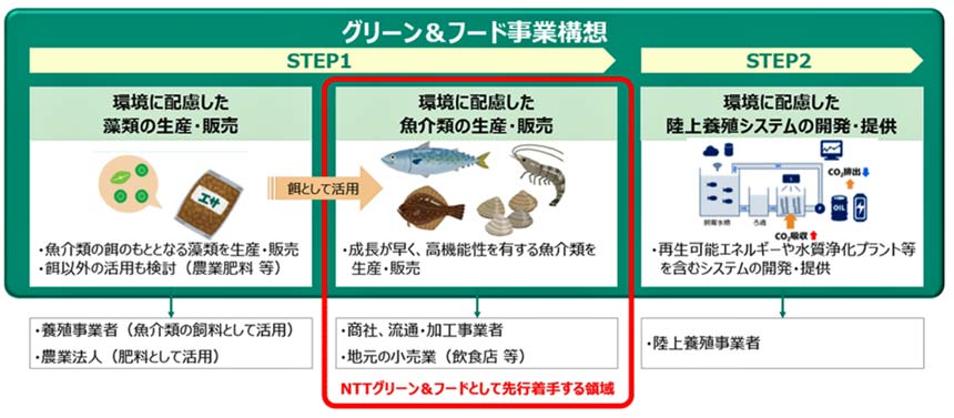NTTグリーン＆フードの事業構想