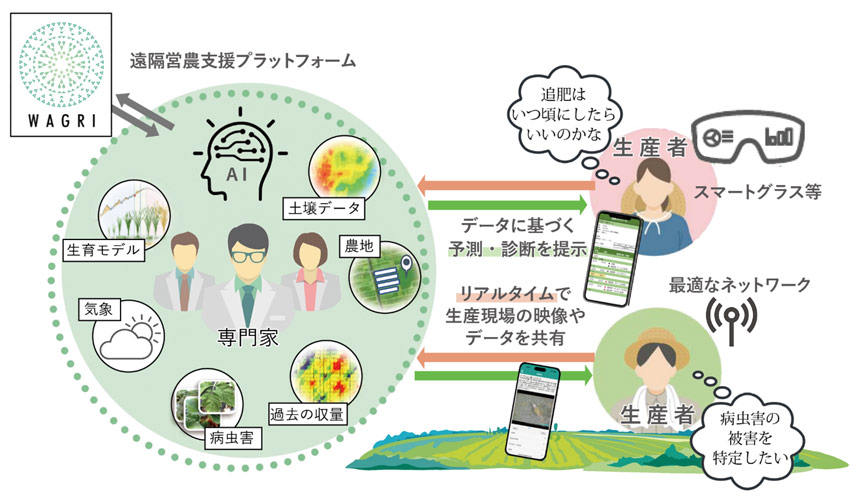 NTT東・アグリテクノロジー、農研機構がデータ駆動型生産者支援プロジェクト