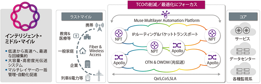 図表1　リボン・コミュニケーションズの事業領域　IP/光ソリューション