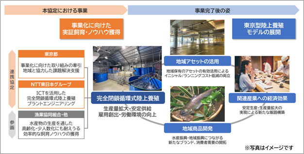 「漁協運営型陸上養殖プロジェクト」の概要