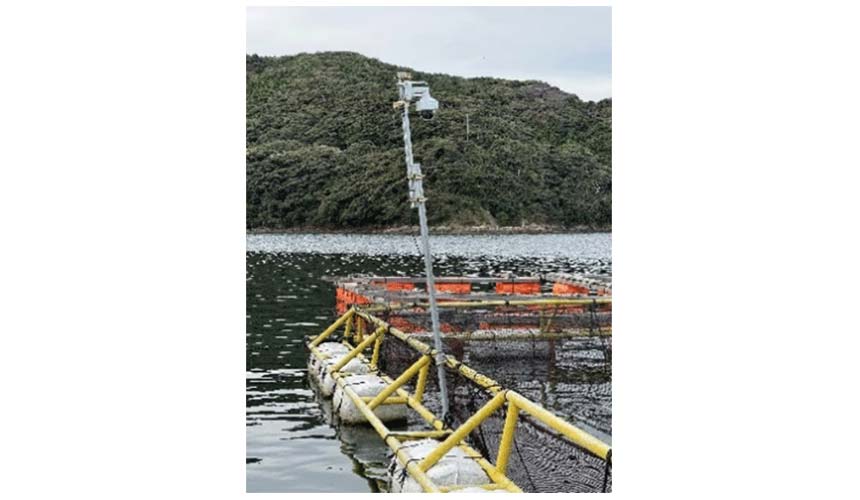 養殖生簀に設置した監視カメラ