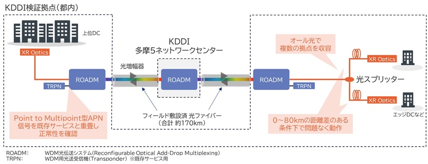 本実証の光伝送路イメージ
