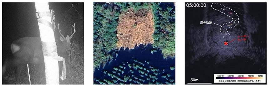 （左から）検出された鹿の撮影画像、実験サイトの航空写真、可視化した動体の軌跡
