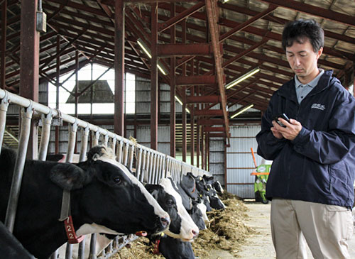 顧客である牧場の牛舎内でTORQUEを操作する同社社員
