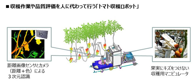 図表4　パナソニックの「トマト収穫ロボット」