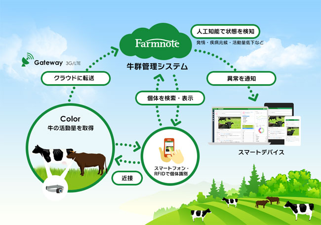 Farmnote Color